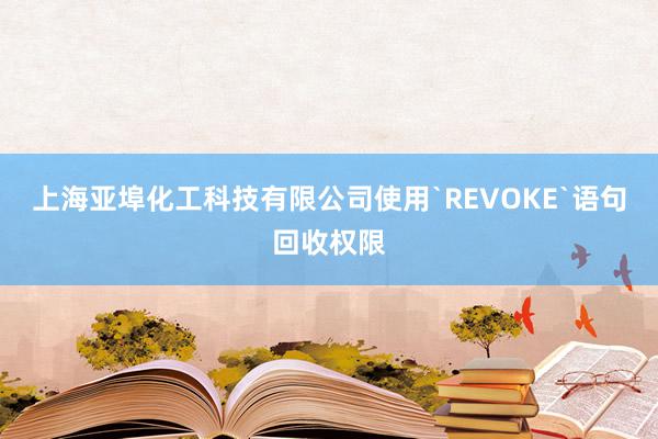 上海亚埠化工科技有限公司使用`REVOKE`语句回收权限