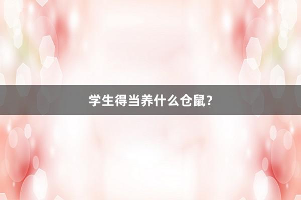 学生得当养什么仓鼠?
